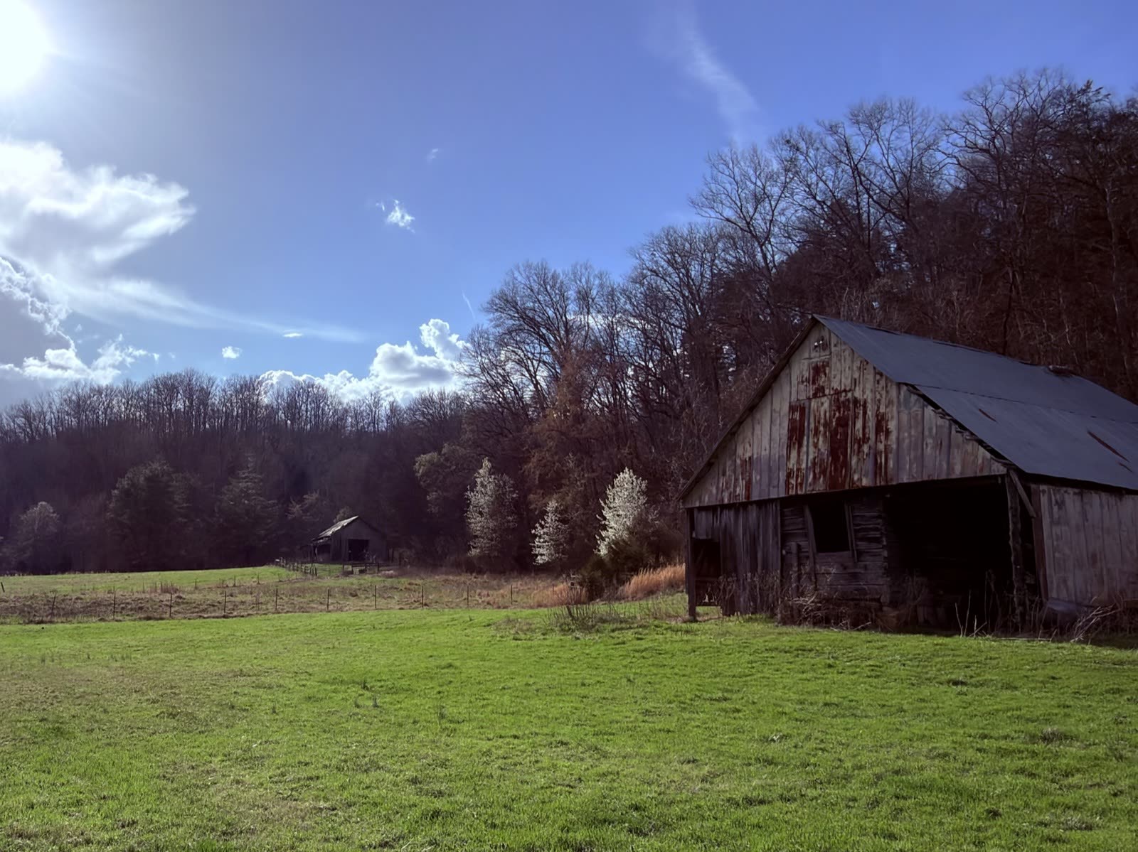 A weathered tin barn at the edge of the treeline in late-afternoon light.